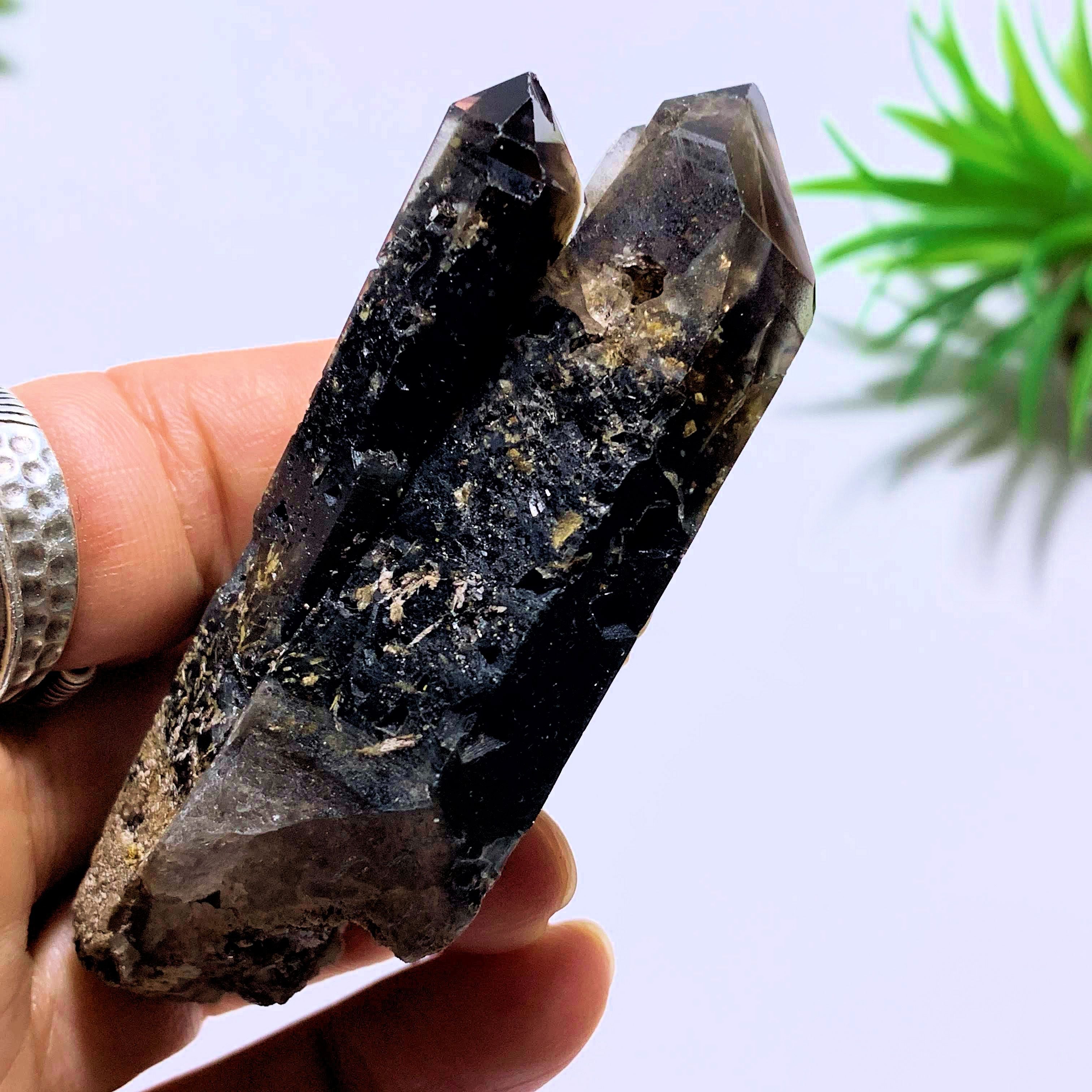 Natural Morion Smoky Quartz Specimen~Locality Namibia - Earth Family Crystals