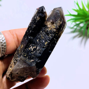 Natural Morion Smoky Quartz Specimen~Locality Namibia - Earth Family Crystals