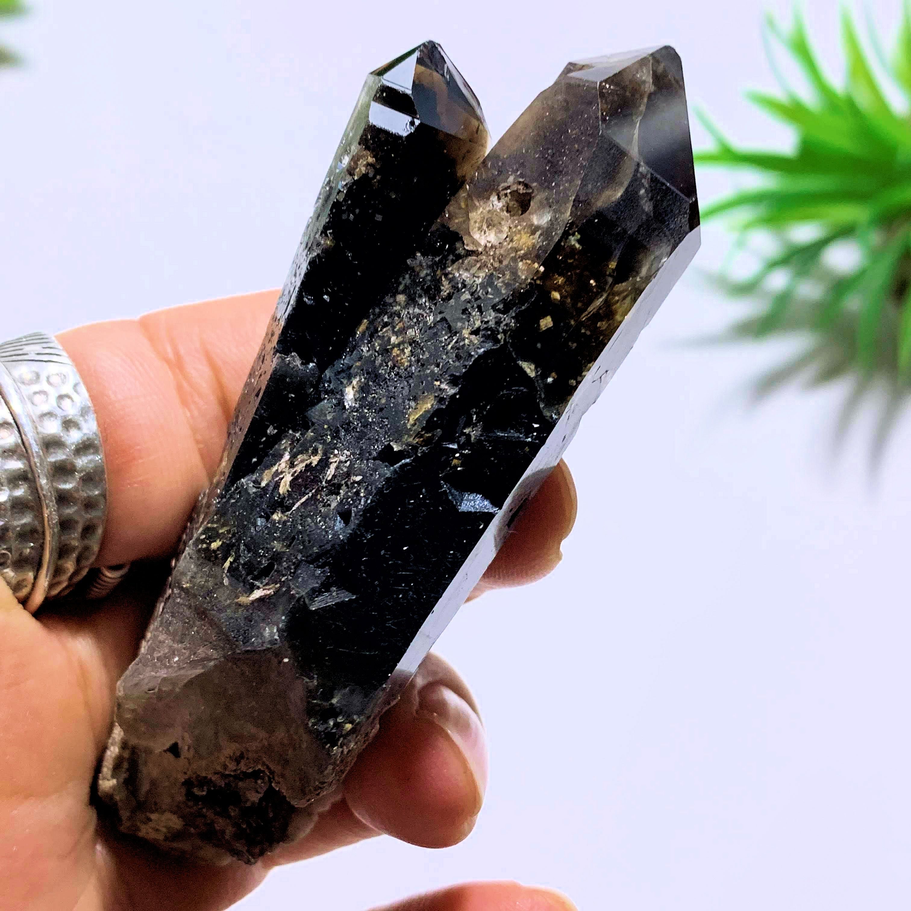 Natural Morion Smoky Quartz Specimen~Locality Namibia - Earth Family Crystals