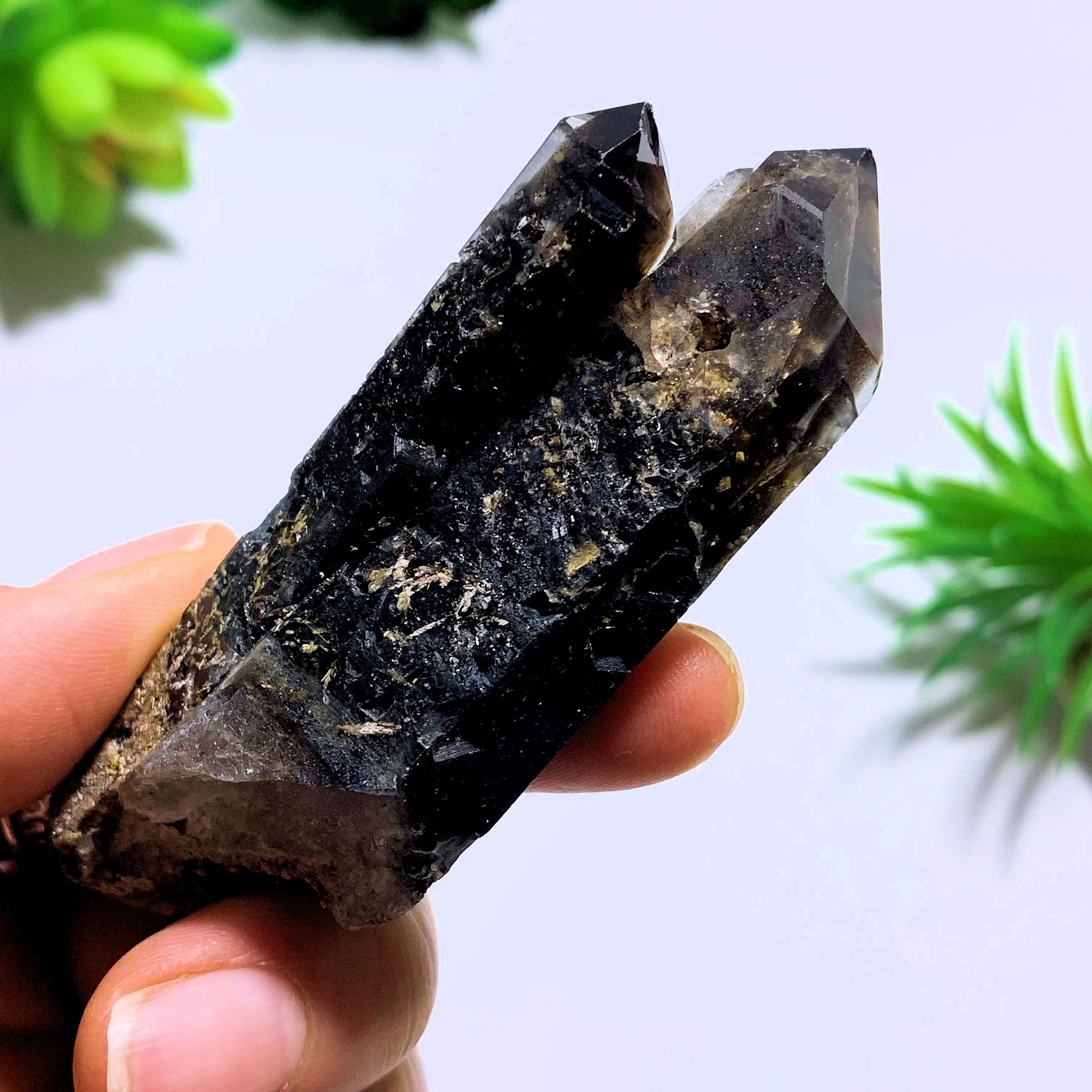Natural Morion Smoky Quartz Specimen~Locality Namibia - Earth Family Crystals