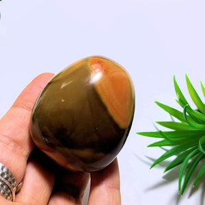 Polychrome Jasper Hand Held Pocket Stone~Locality Madagascar - Earth Family Crystals