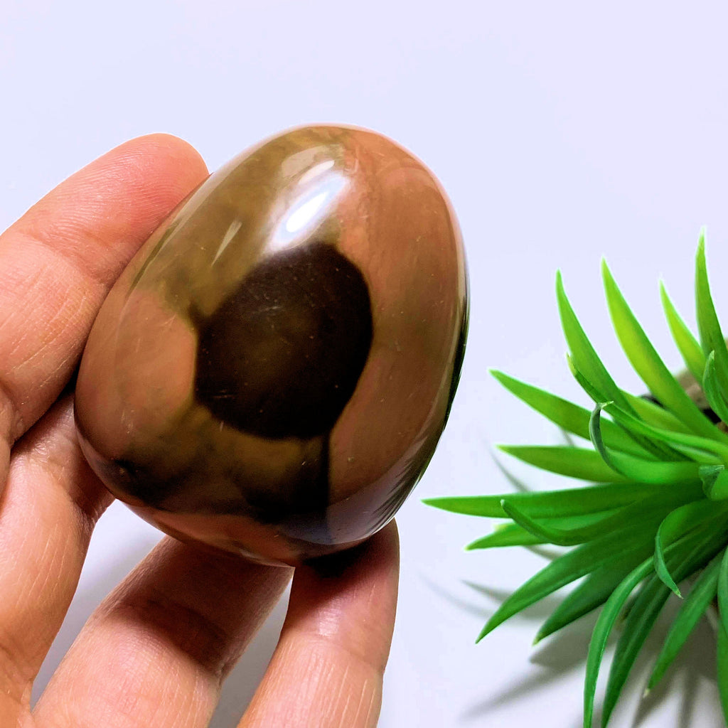 Polychrome Jasper Hand Held Pocket Stone~Locality Madagascar - Earth Family Crystals