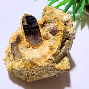 Deep Purple Brandberg Amethyst Point Nestled in Quartz Matrix From Namibia - Earth Family Crystals