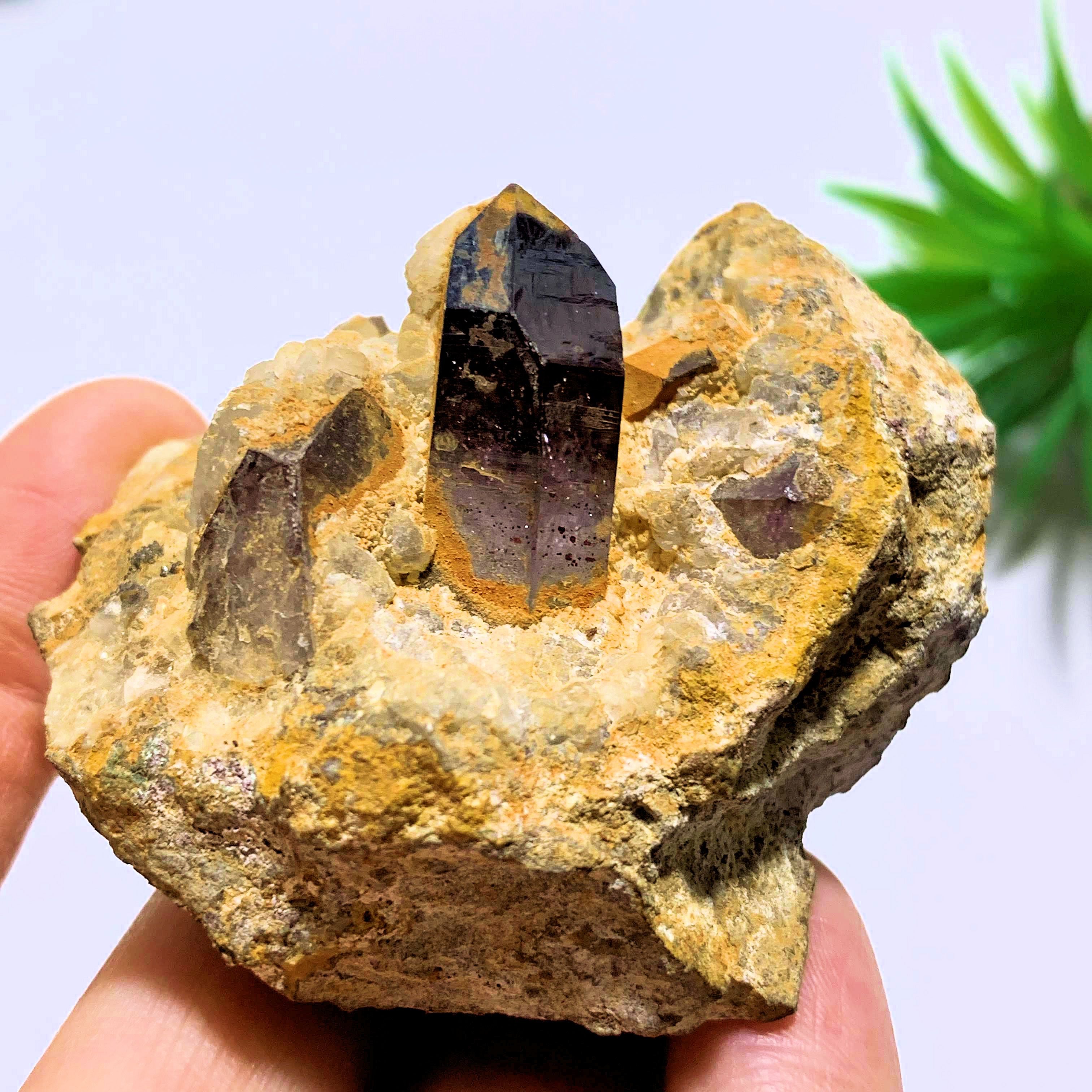 Deep Purple Brandberg Amethyst Point Nestled in Quartz Matrix From Namibia - Earth Family Crystals