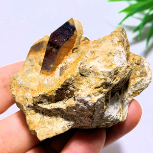 Deep Purple Brandberg Amethyst Point Nestled in Quartz Matrix From Namibia - Earth Family Crystals