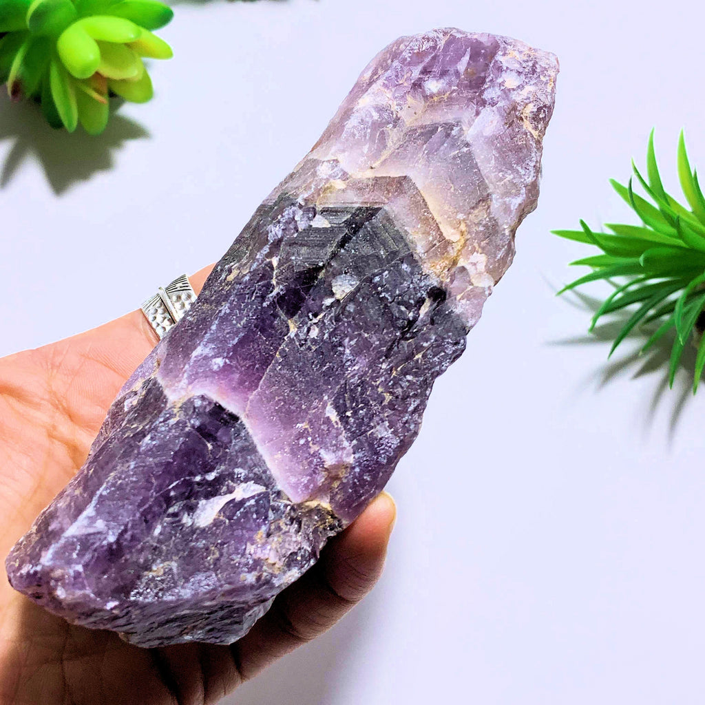 Auralite-23 Deep Purple Genuine Large Point From Ontario, Canada - Earth Family Crystals