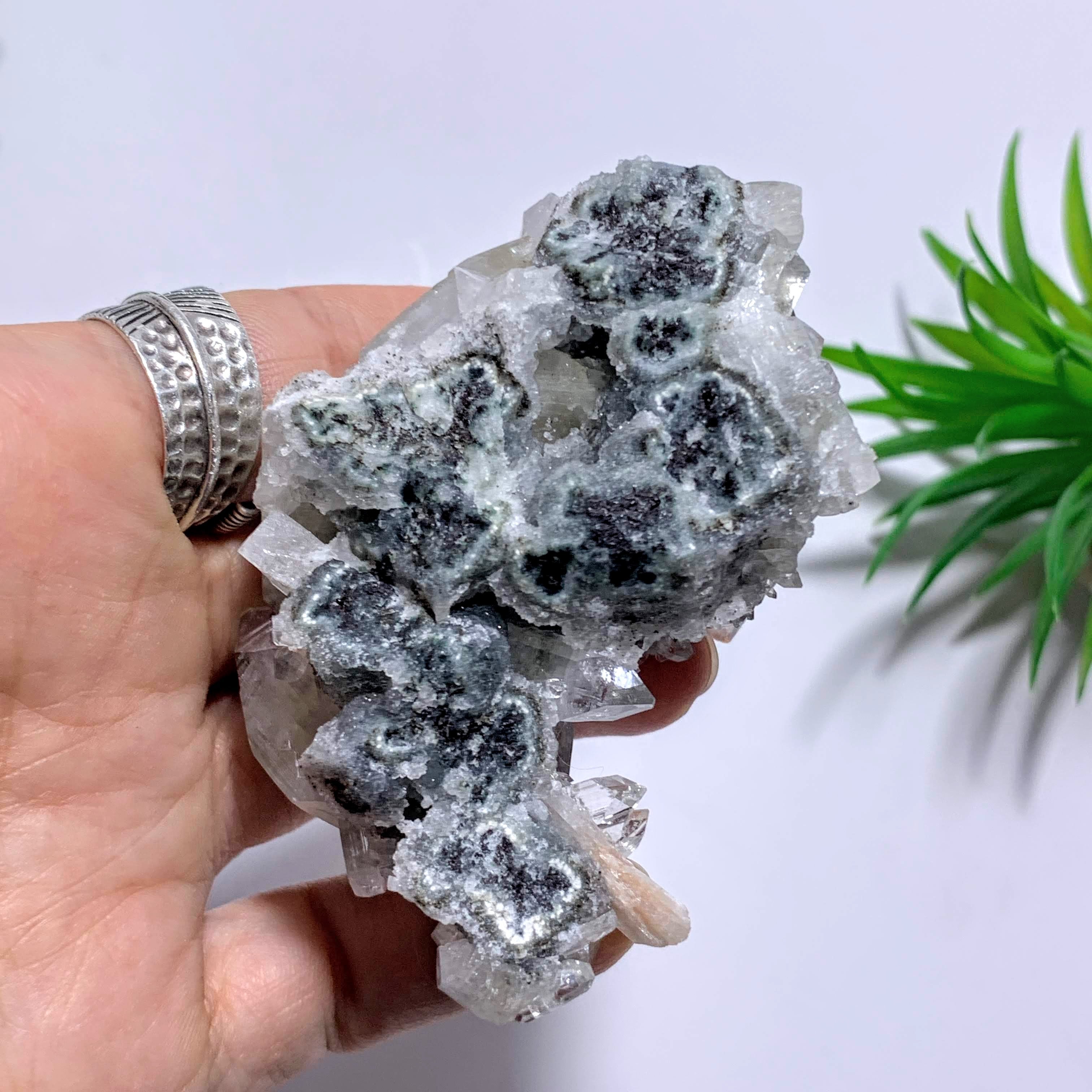 Clear & Green Apophyllite Cluster With Pink Stilbite Inclusions From India - Earth Family Crystals