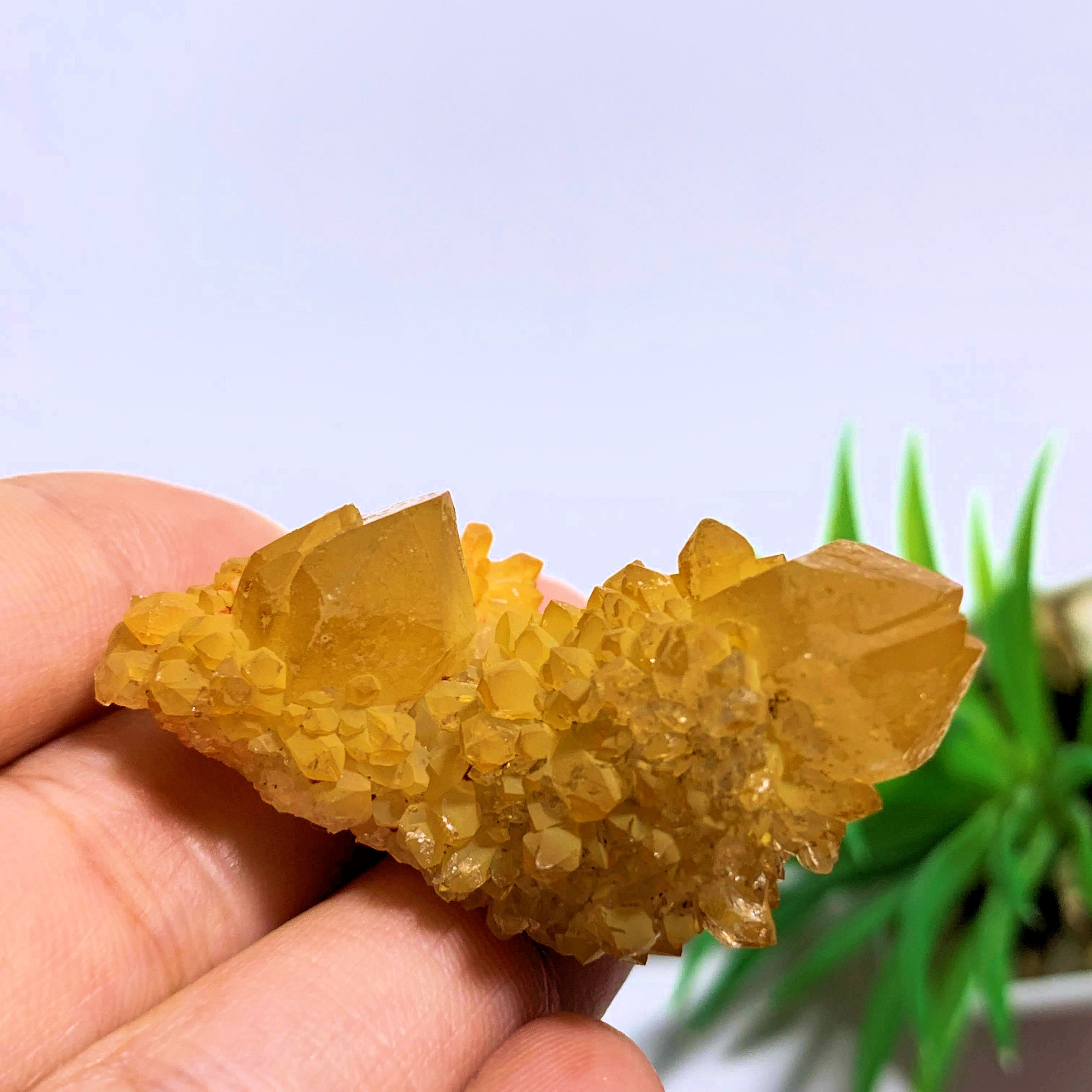 Citrine Spirit Quartz Natural Cluster from S.Africa - Earth Family Crystals