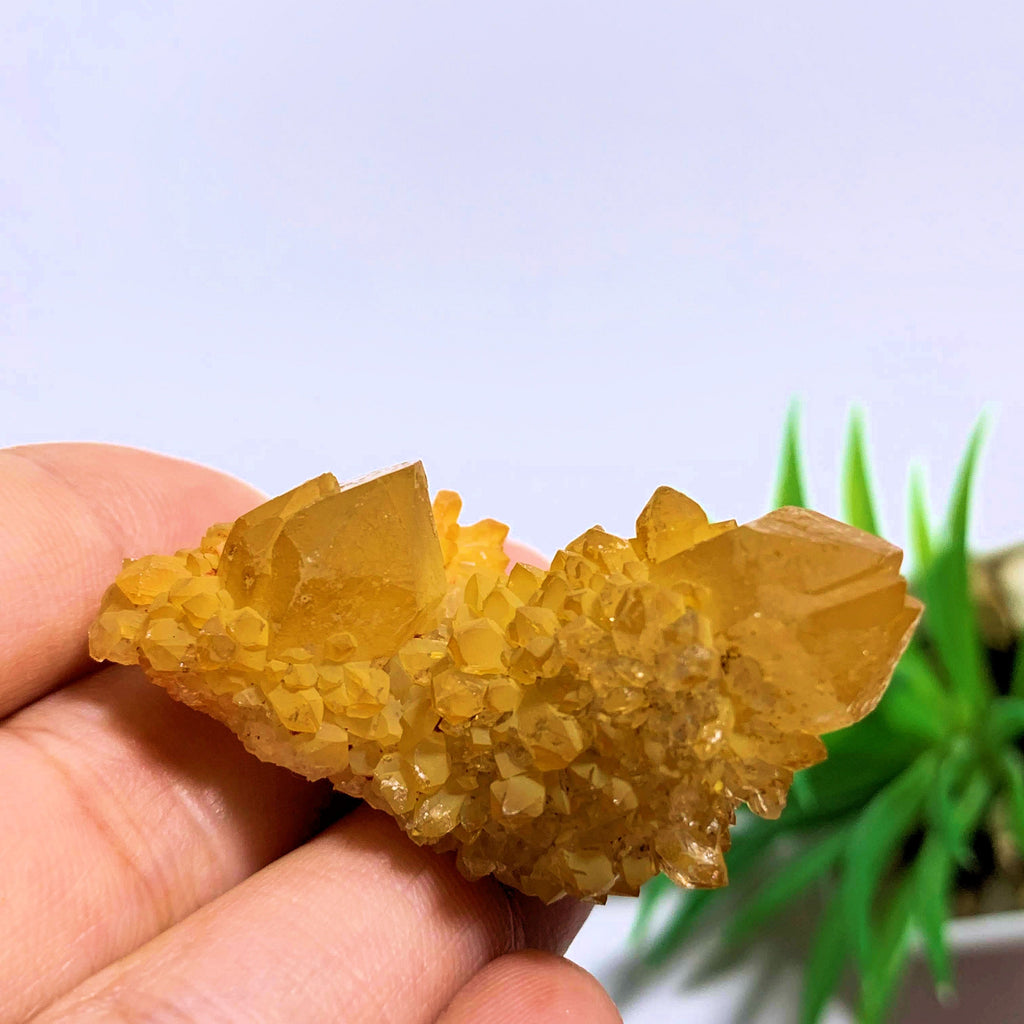 Citrine Spirit Quartz Natural Cluster from S.Africa - Earth Family Crystals