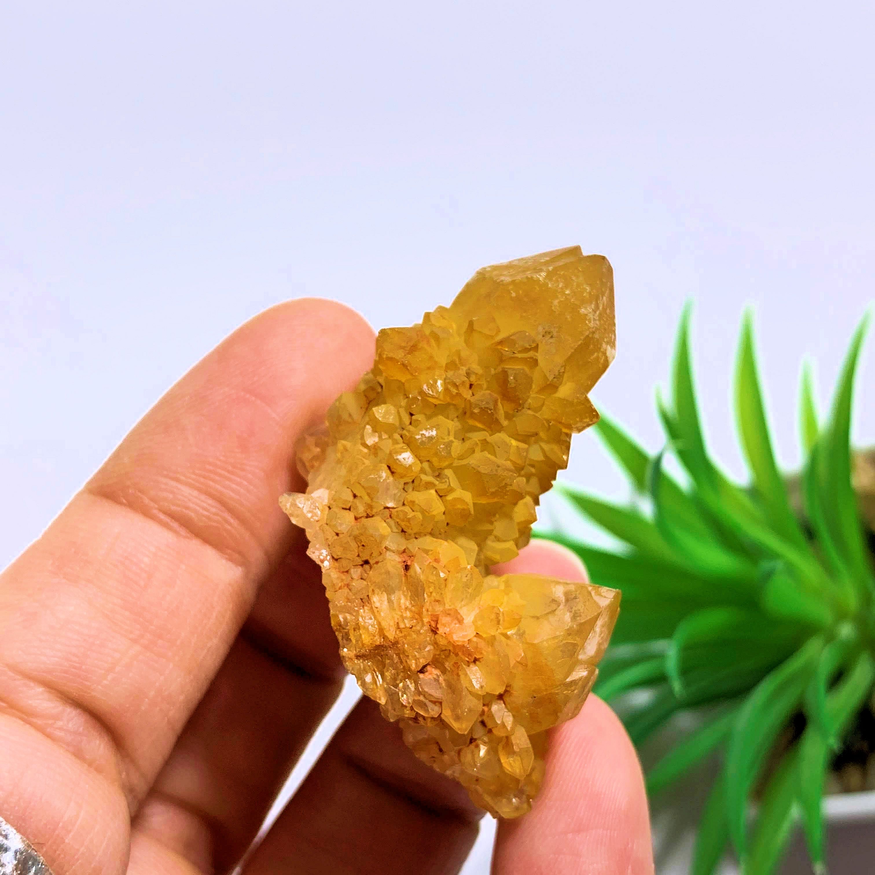 Citrine Spirit Quartz Natural Cluster from S.Africa - Earth Family Crystals