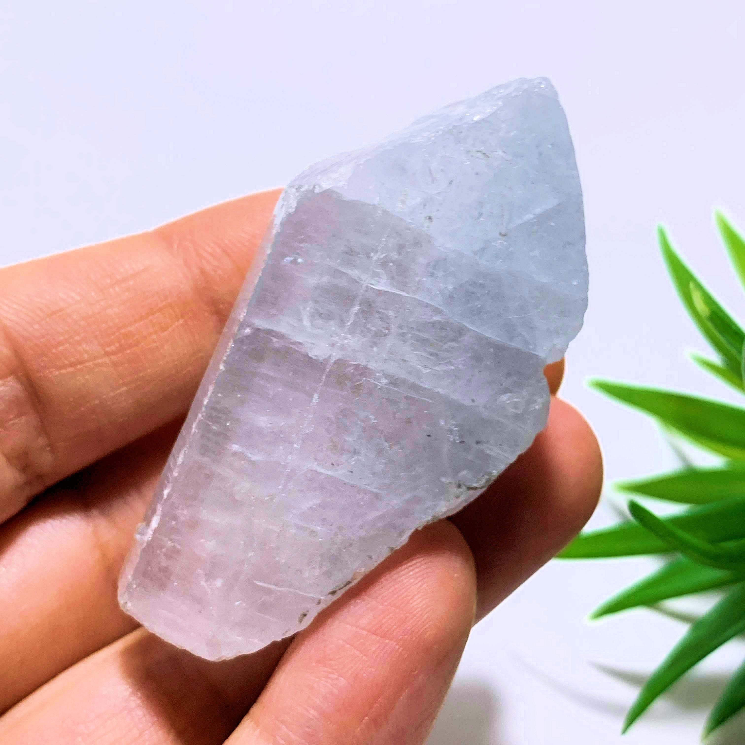 Ohio Celestite Soft Blue Natural Specimen - Earth Family Crystals