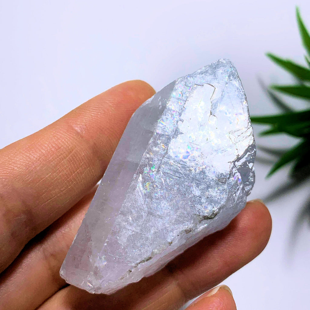 Ohio Celestite Soft Blue Natural Specimen - Earth Family Crystals