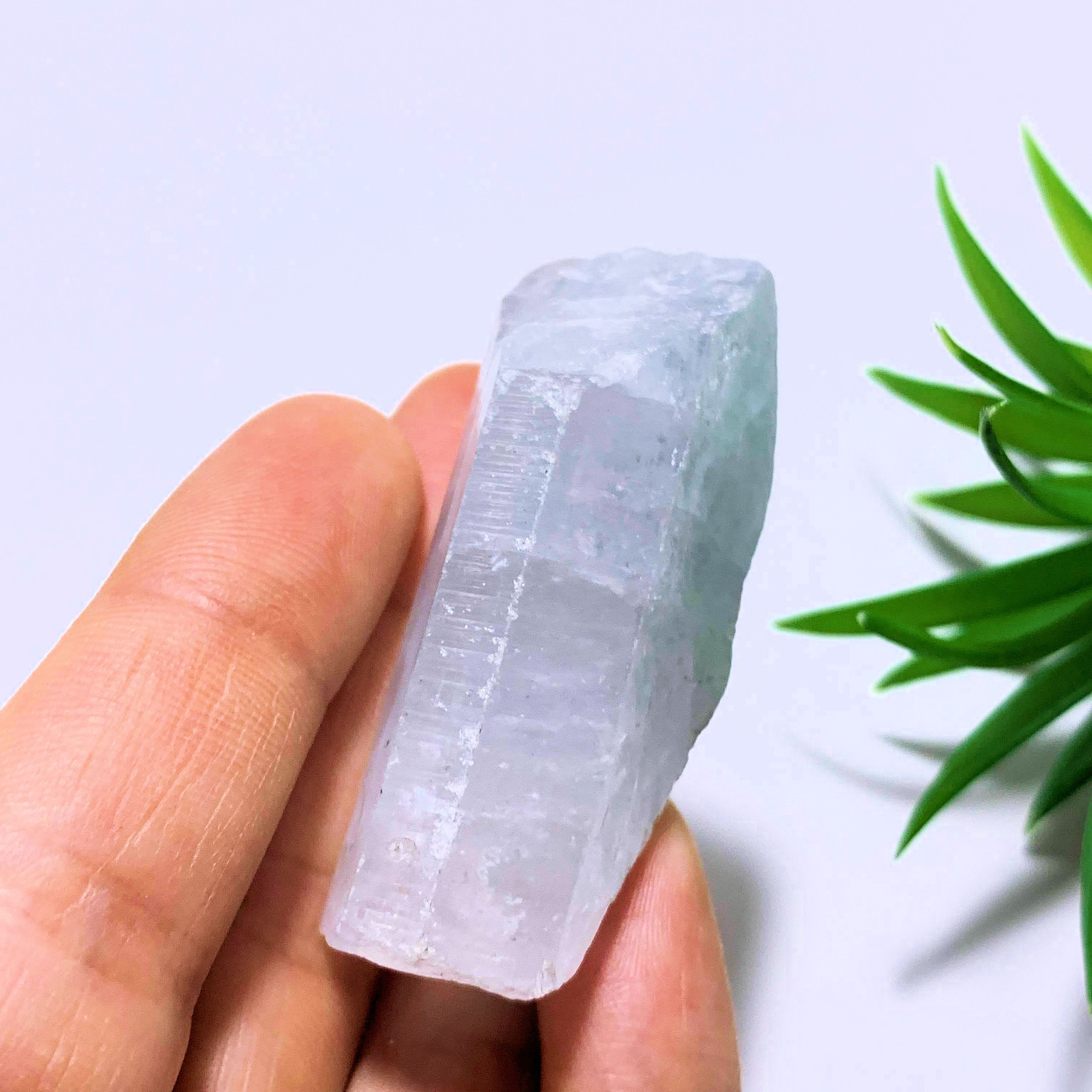 Ohio Celestite Soft Blue Natural Specimen - Earth Family Crystals