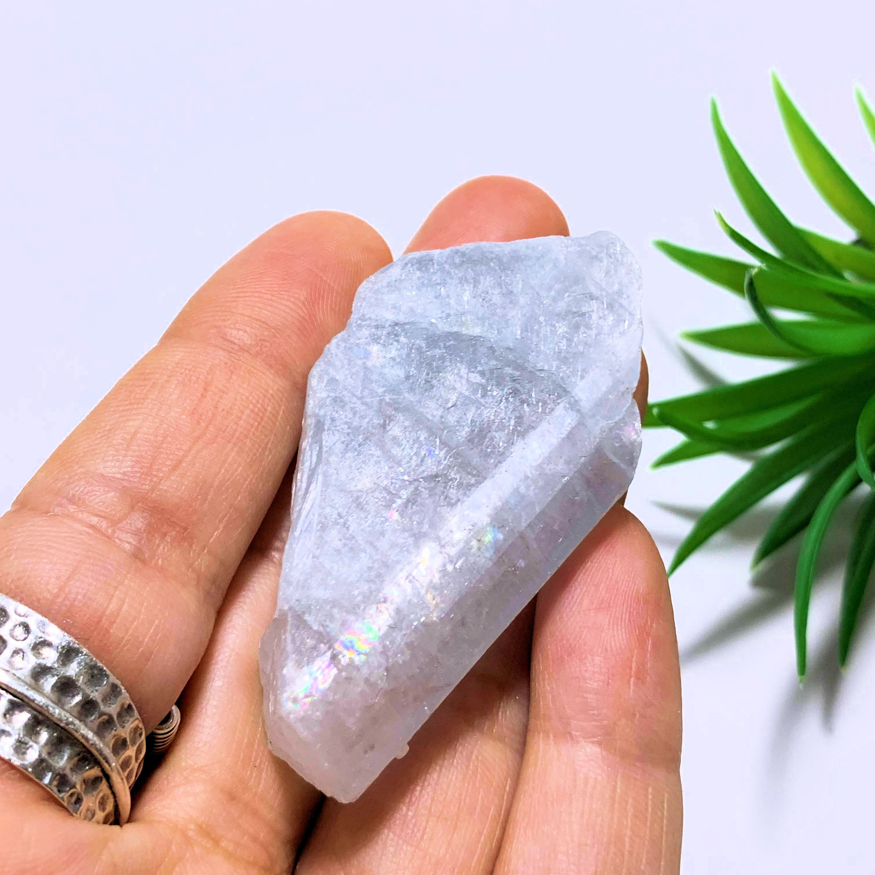 Ohio Celestite Soft Blue Natural Specimen - Earth Family Crystals