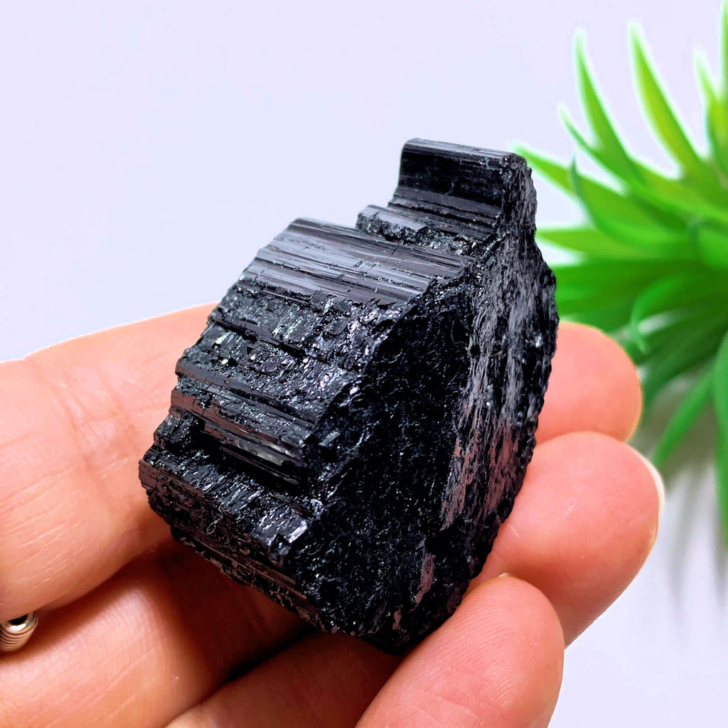 Black Tourmaline Natural Chunk ~Locality Brazil - Earth Family Crystals