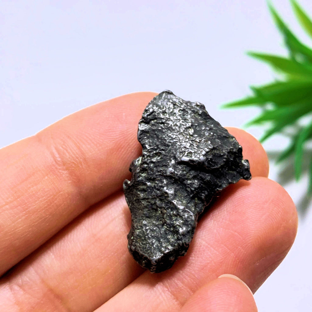 Genuine Meteorite Sikhote Alin From Russia Found in 1947 - Earth Family Crystals