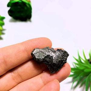 Genuine Meteorite Sikhote Alin From Russia Found in 1947 - Earth Family Crystals