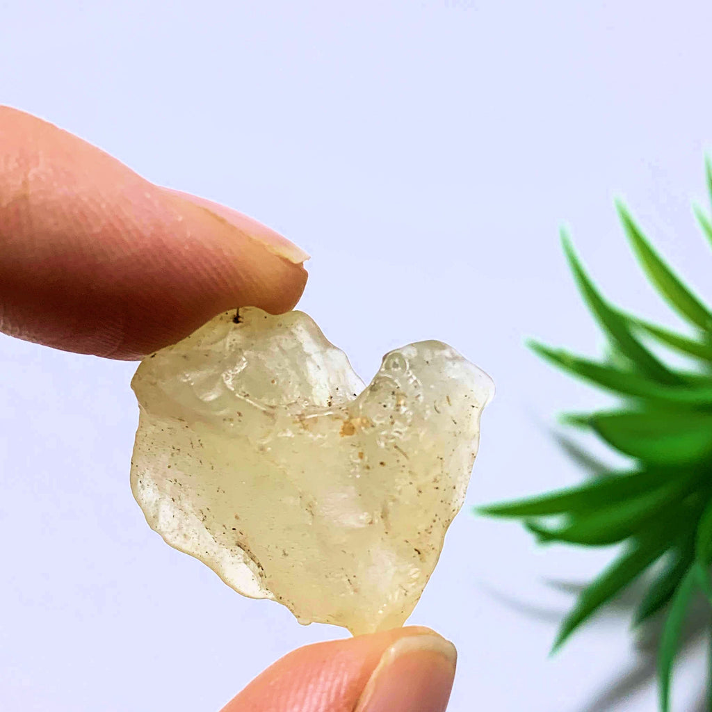 Genuine Ancient Golden Libyan Desert Glass From Egypt - Earth Family Crystals