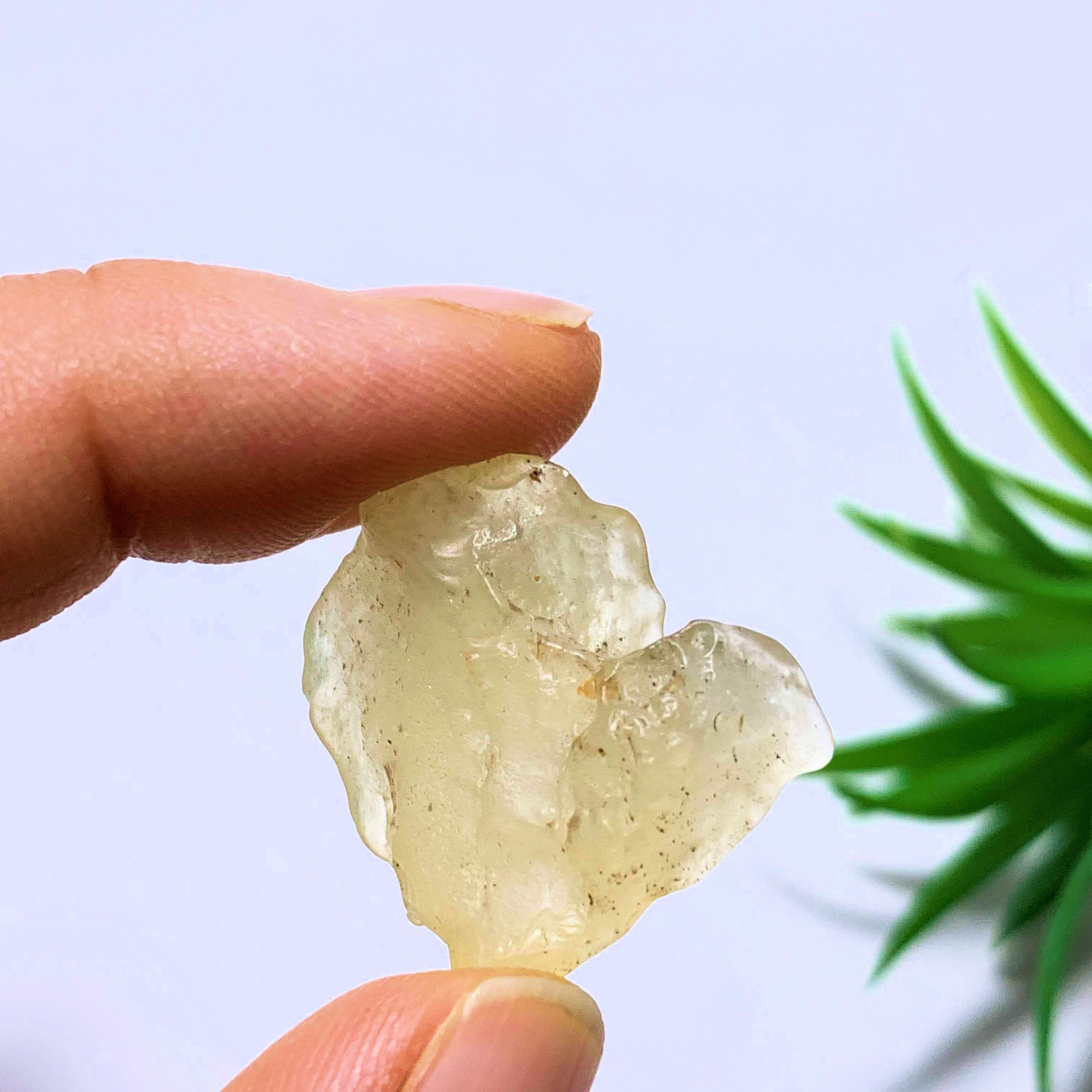 Genuine Ancient Golden Libyan Desert Glass From Egypt - Earth Family Crystals