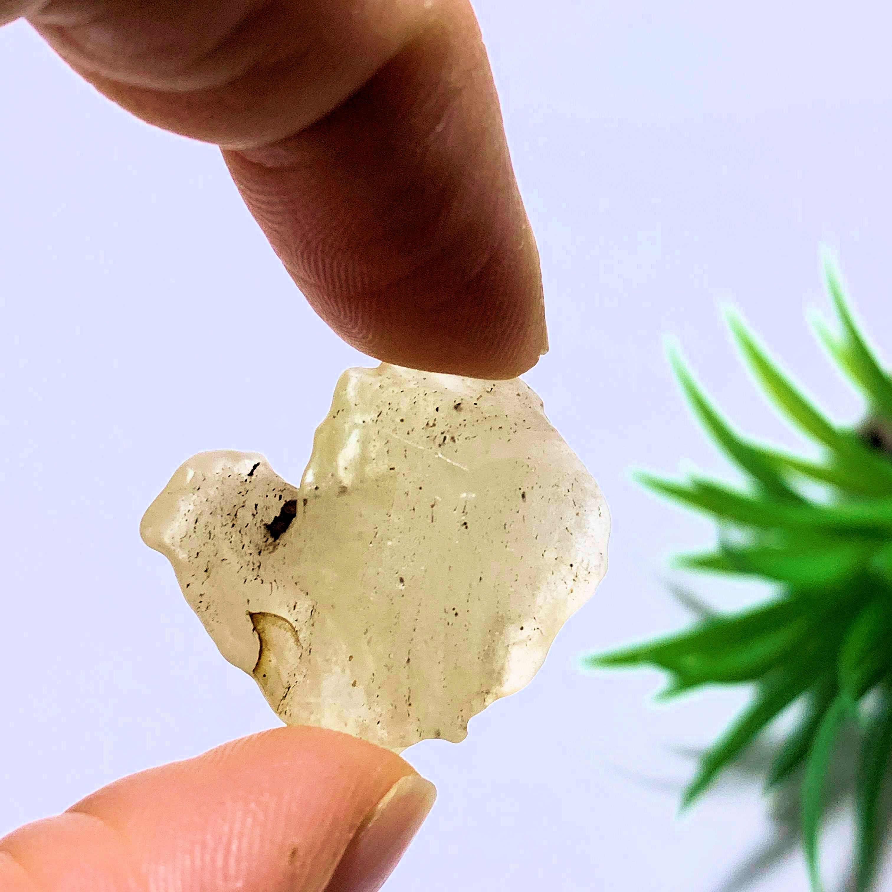 Genuine Ancient Golden Libyan Desert Glass From Egypt - Earth Family Crystals