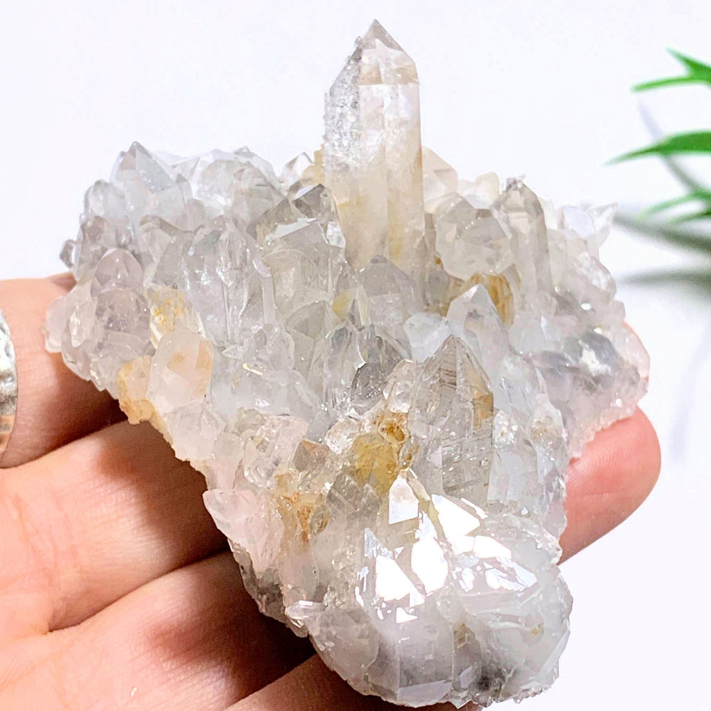 Rare Arkansas Blue Phantom Quartz Cluster With Self Healing - Earth Family Crystals