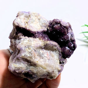 Rare Locality~Deep Purple Cubic Fluorite Natural Cluster from Rossport, Ontario-Canada - Earth Family Crystals