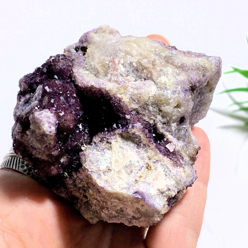 Rare Locality~Deep Purple Cubic Fluorite Natural Cluster from Rossport, Ontario-Canada - Earth Family Crystals