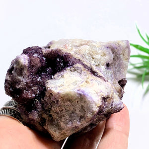 Rare Locality~Deep Purple Cubic Fluorite Natural Cluster from Rossport, Ontario-Canada - Earth Family Crystals