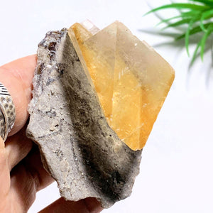 Rare Elmwood Mine Golden Calcite on Matrix Collectors Specimen - Earth Family Crystals