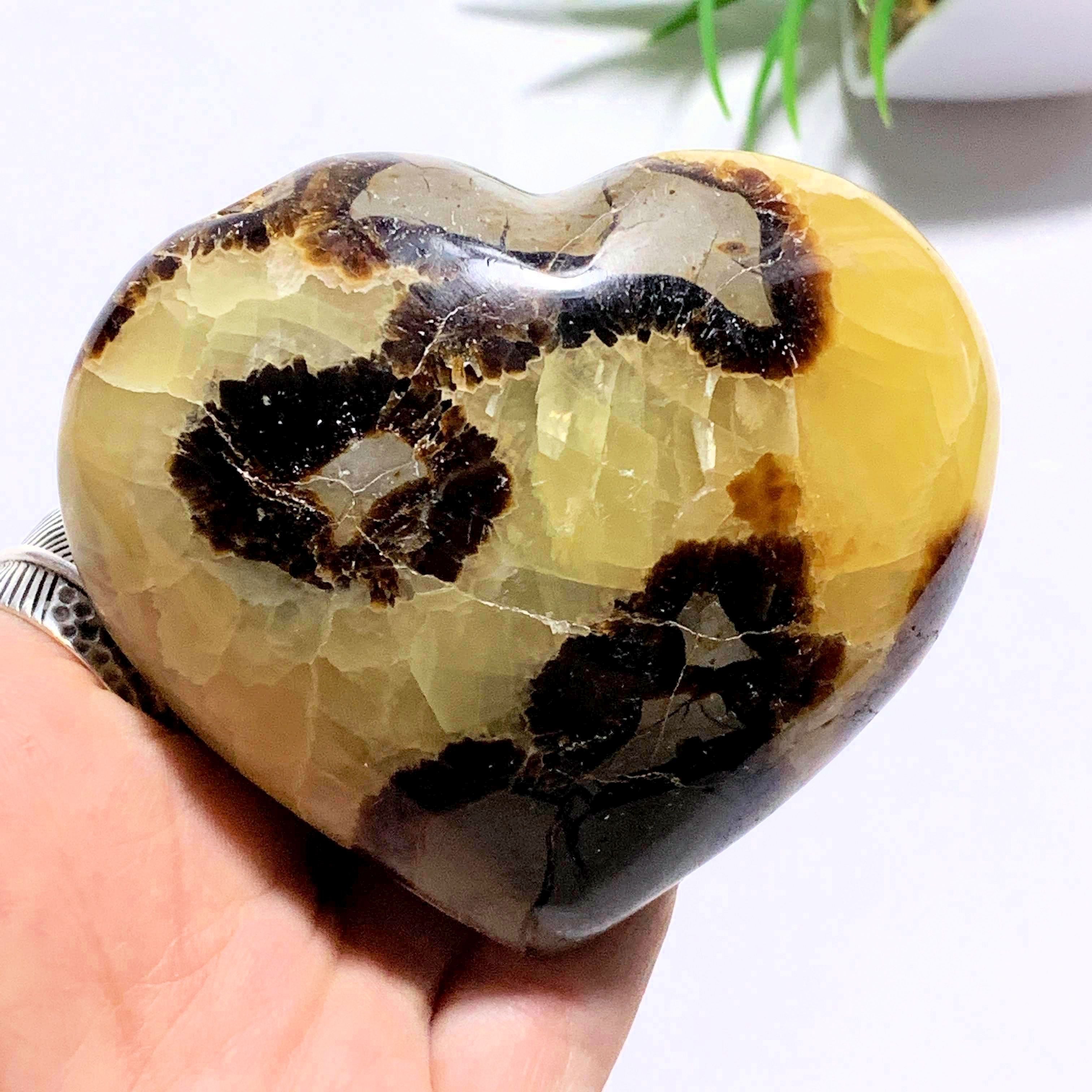 Unique patterns Septarian Love Heart Carving From Madagascar - Earth Family Crystals