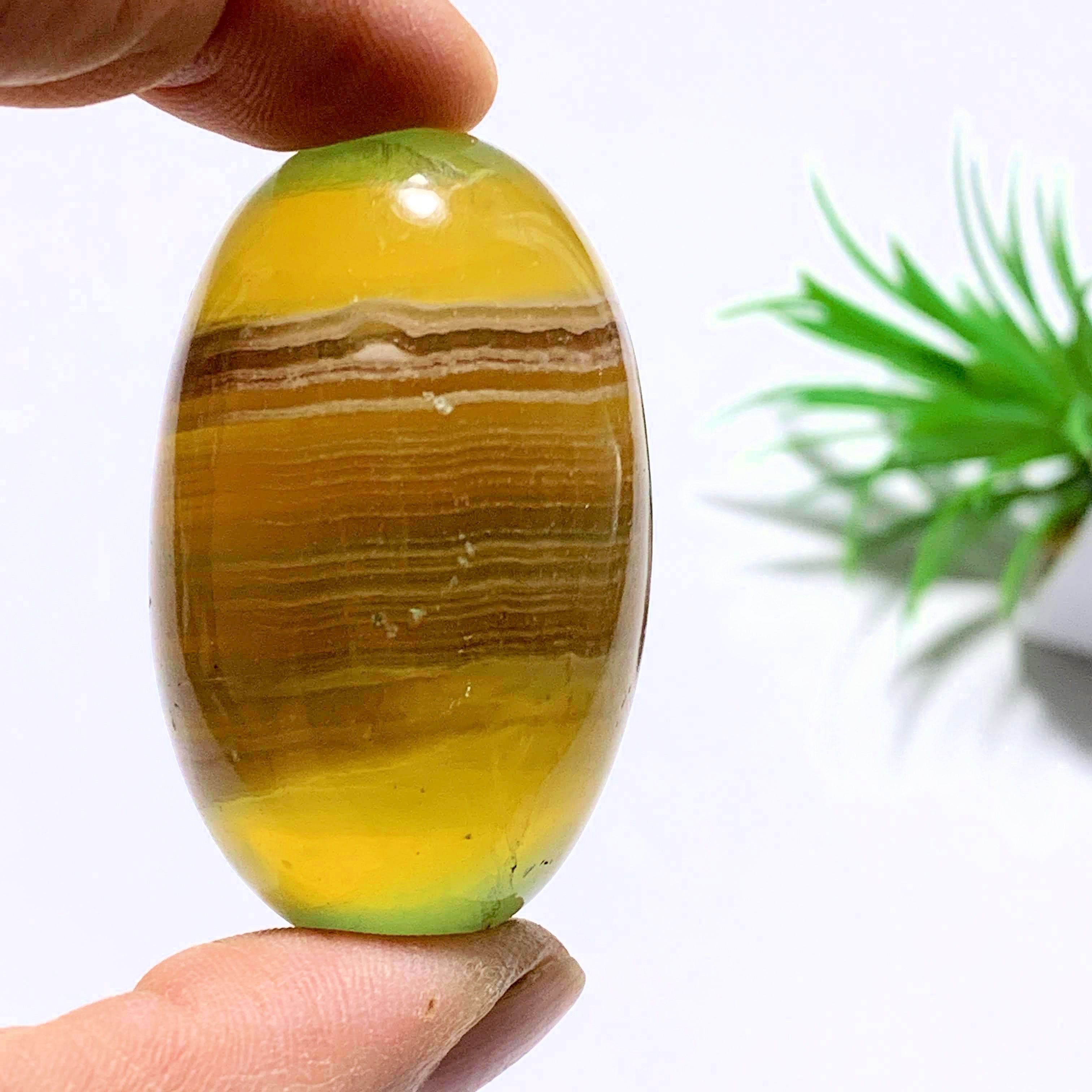 Uplifting Golden Fluorite Egg Specimen #1 - Earth Family Crystals