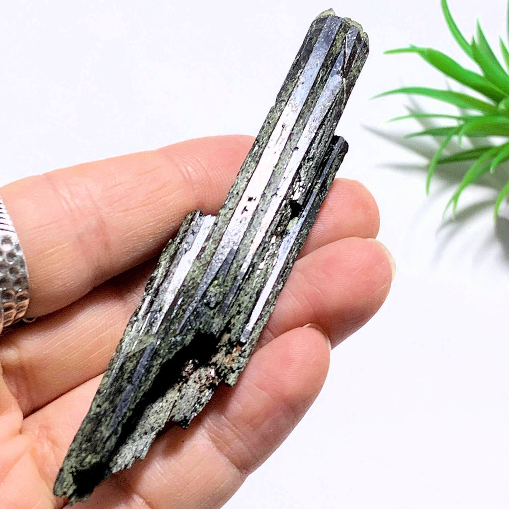 Deep Forest Green Epidote Point Natural Specimen~Locality Namibia - Earth Family Crystals