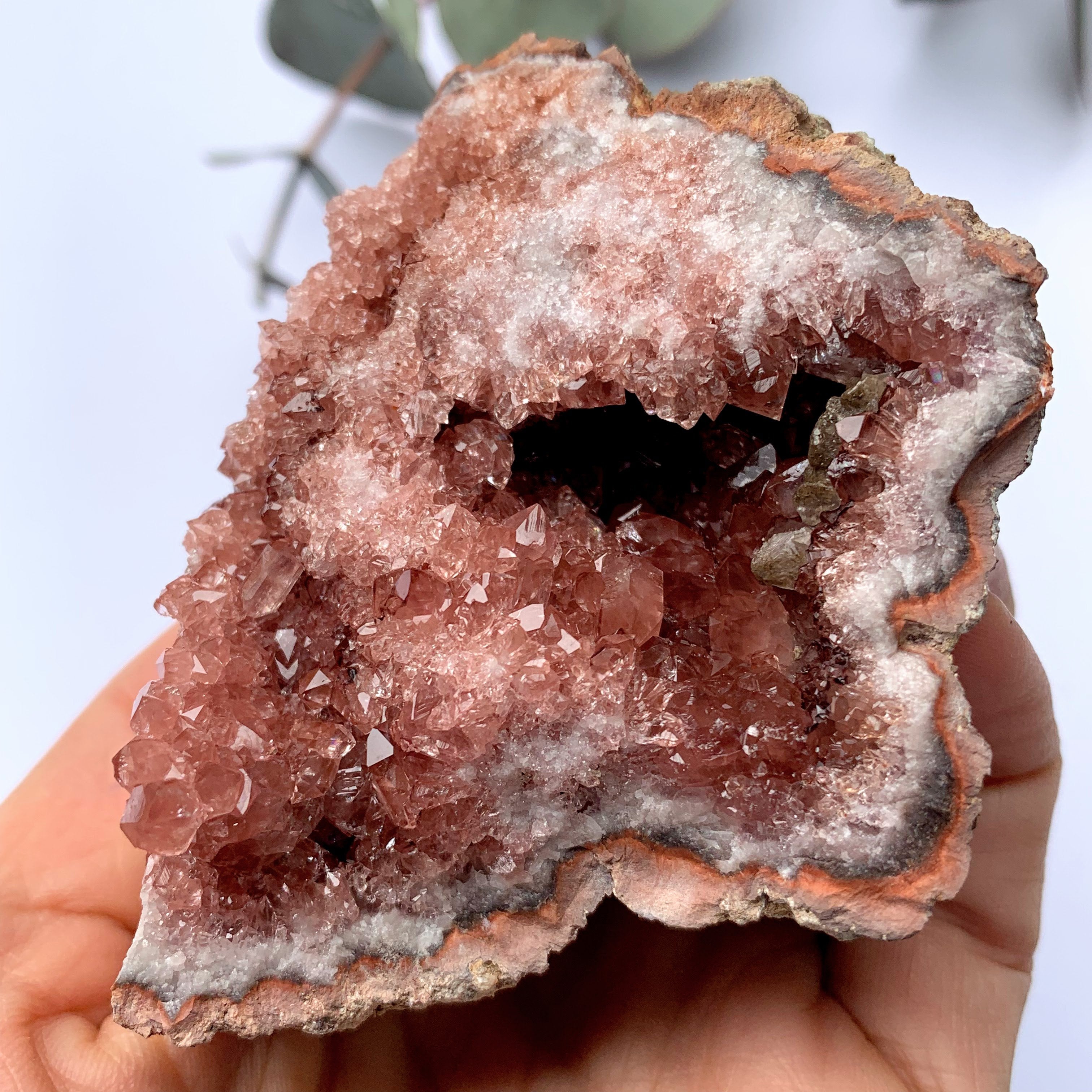 Fabulous Large Deep Pink Amethyst Druzy Geode Cluster From Patagonia9 - Earth Family Crystals