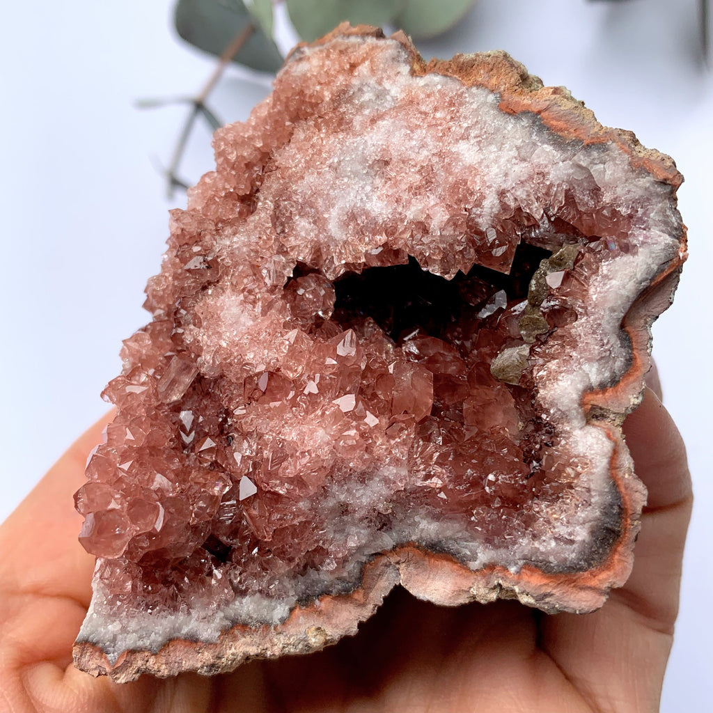 Fabulous Large Deep Pink Amethyst Druzy Geode Cluster From Patagonia9 - Earth Family Crystals