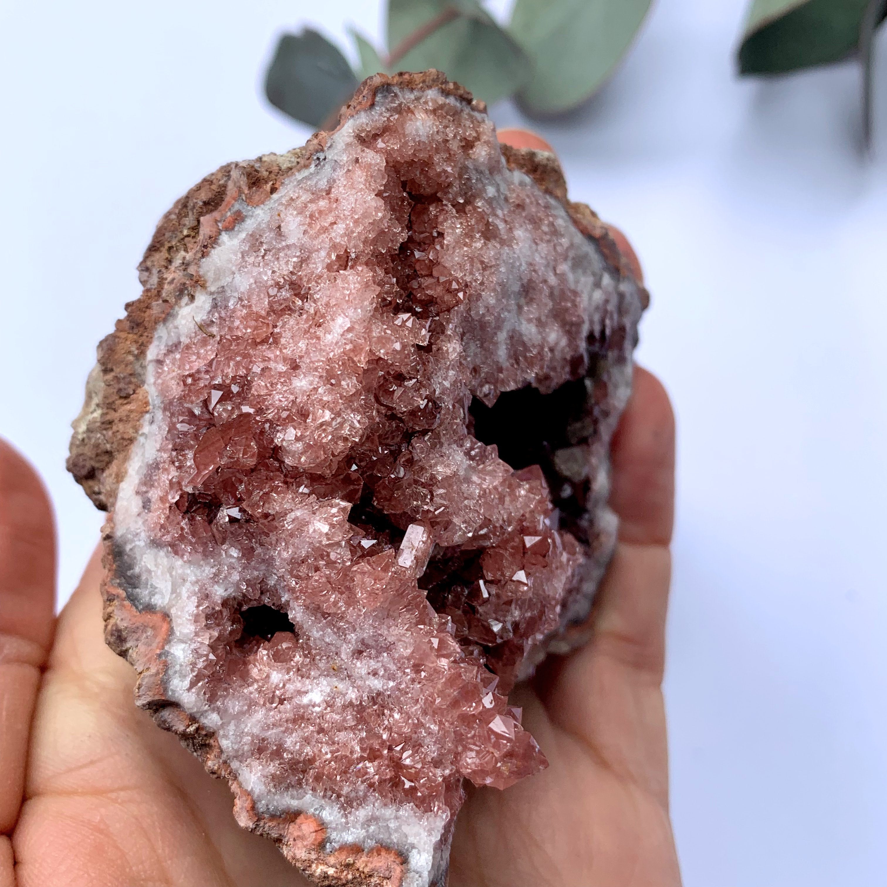 Fabulous Large Deep Pink Amethyst Druzy Geode Cluster From Patagonia9 - Earth Family Crystals