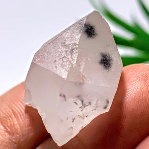 Very Rare~Bursting Dark Stars Hollandite Quartz Dainty Collectors Specimen From Madagascar - Earth Family Crystals