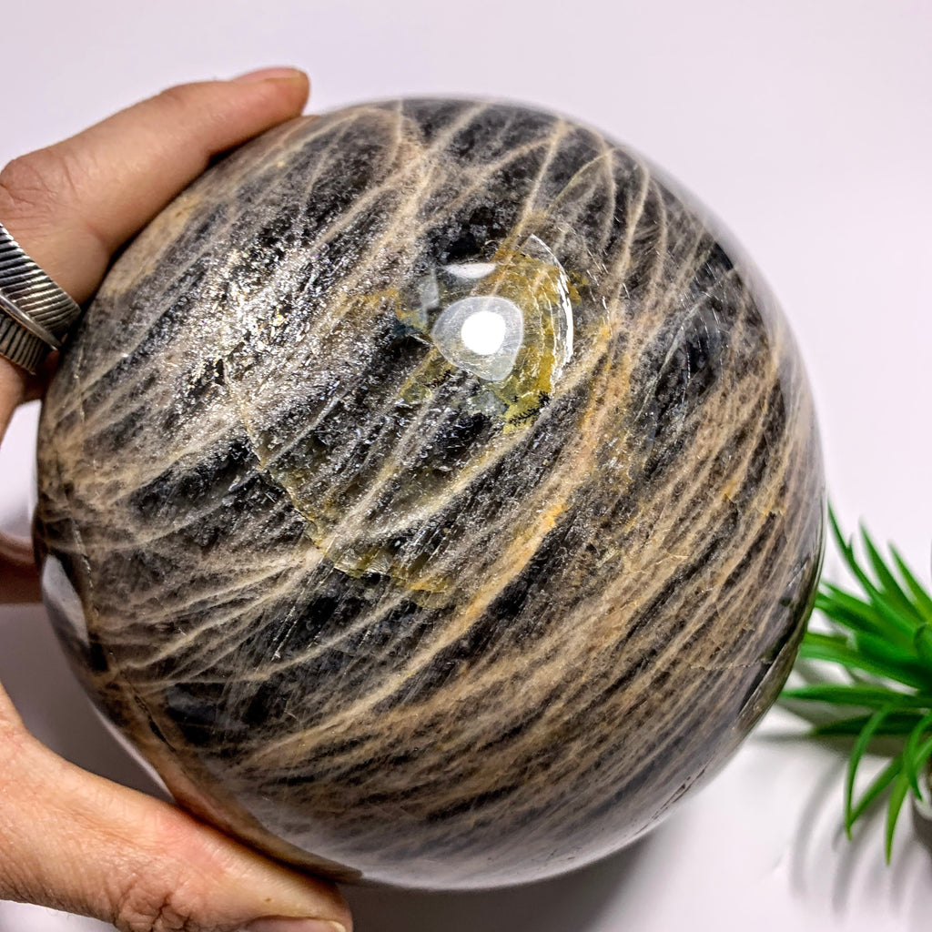 3.3 KG Jumbo Supreme! Mysterious Shimmer Black Moonstone Sphere Carving~Locality Madagascar - Earth Family Crystals