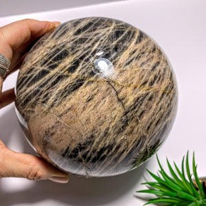 3.3 KG Jumbo Supreme! Mysterious Shimmer Black Moonstone Sphere Carving~Locality Madagascar - Earth Family Crystals