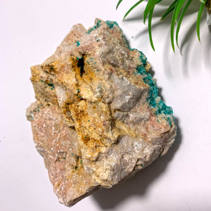 Rare! Sparkling Dioptase Crystals Nestled in Large Rock Matrix~Locality Namibia