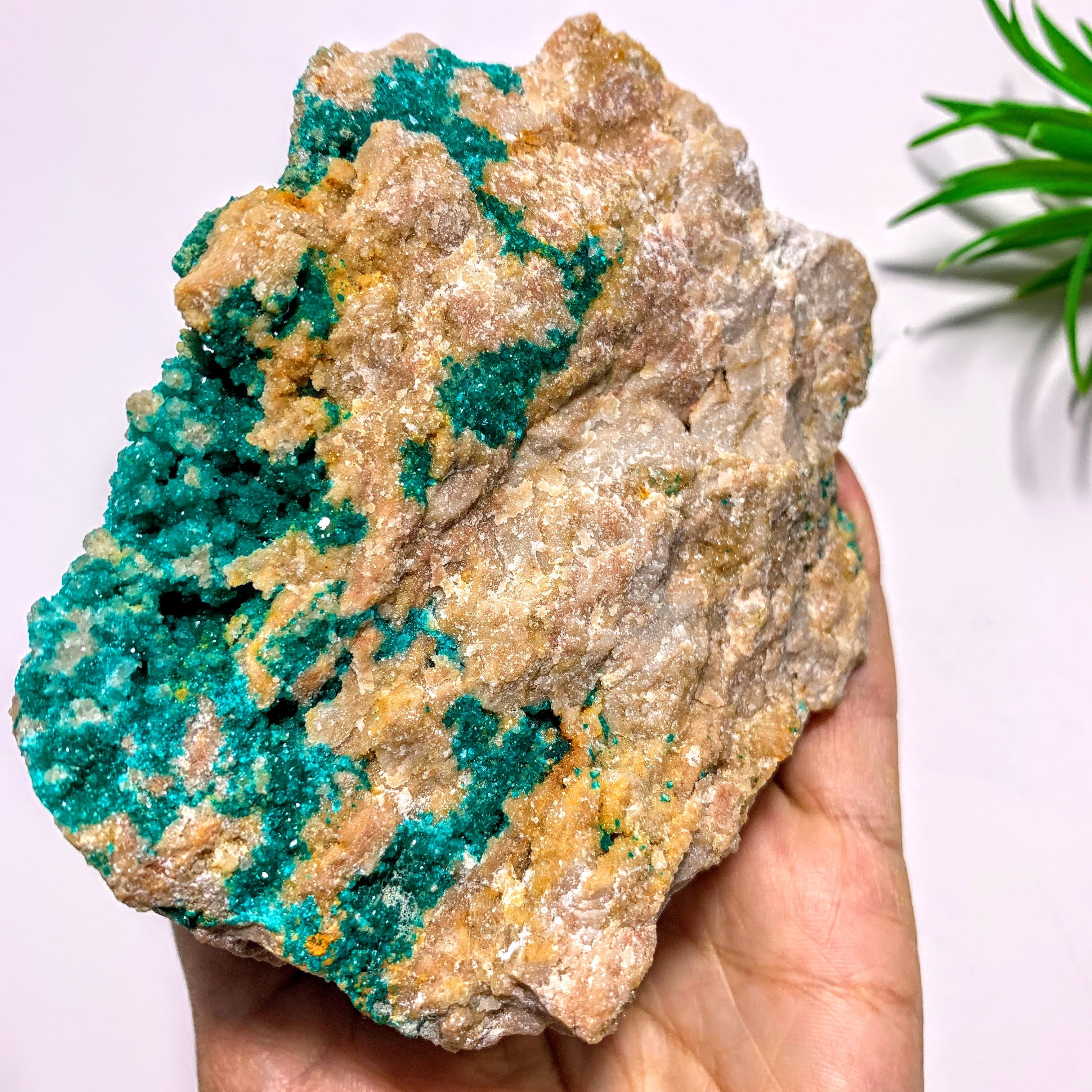 Rare! Sparkling Dioptase Crystals Nestled in Large Rock Matrix~Locality Namibia