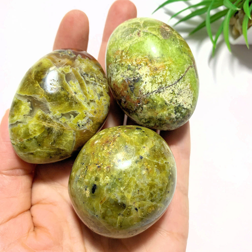 One Green Opal Smooth & Comforting Palm Stone~Locality Madagascar - Earth Family Crystals