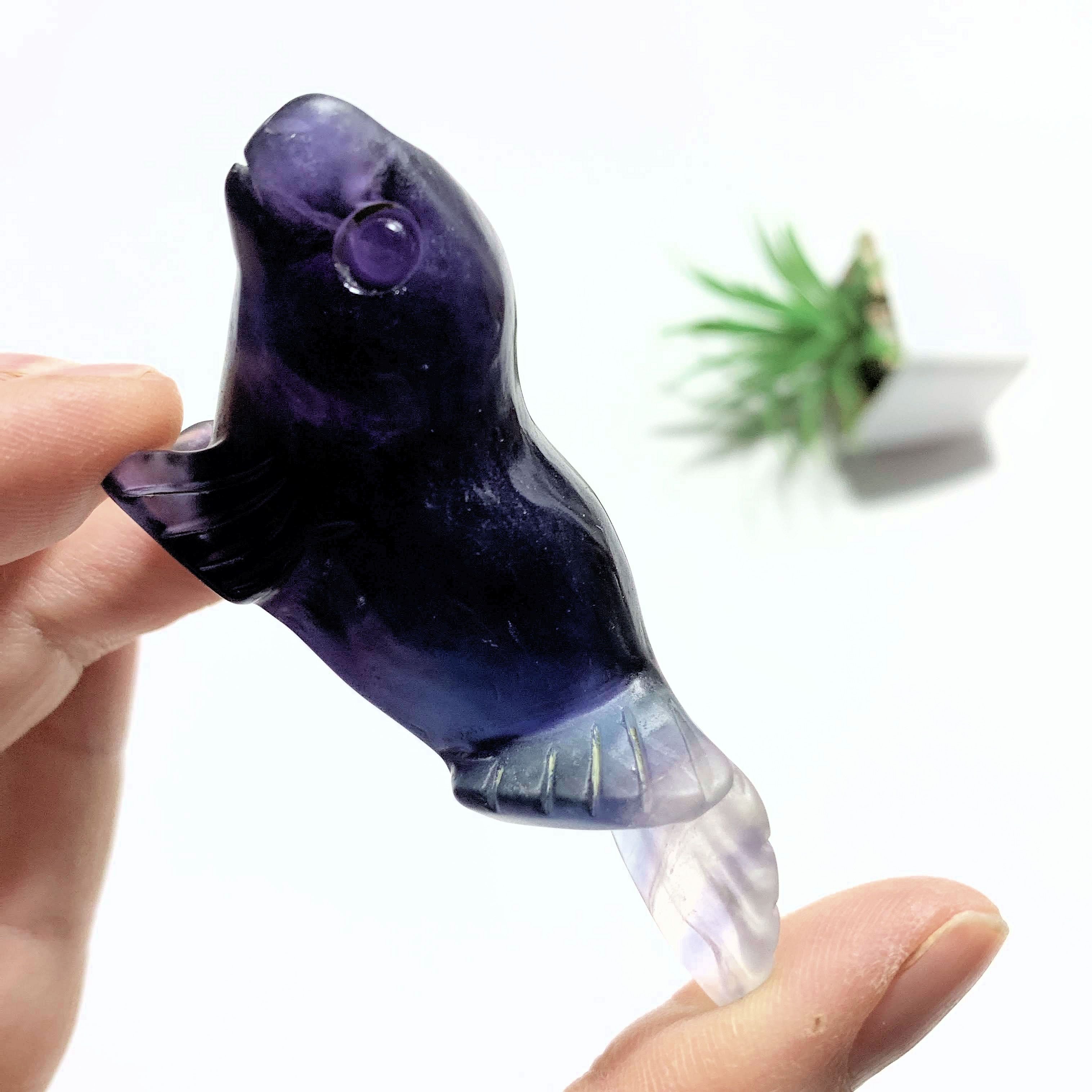 Adorable Rainbow Fluorite Sea Lion Display Carving *REDUCED* - Earth Family Crystals