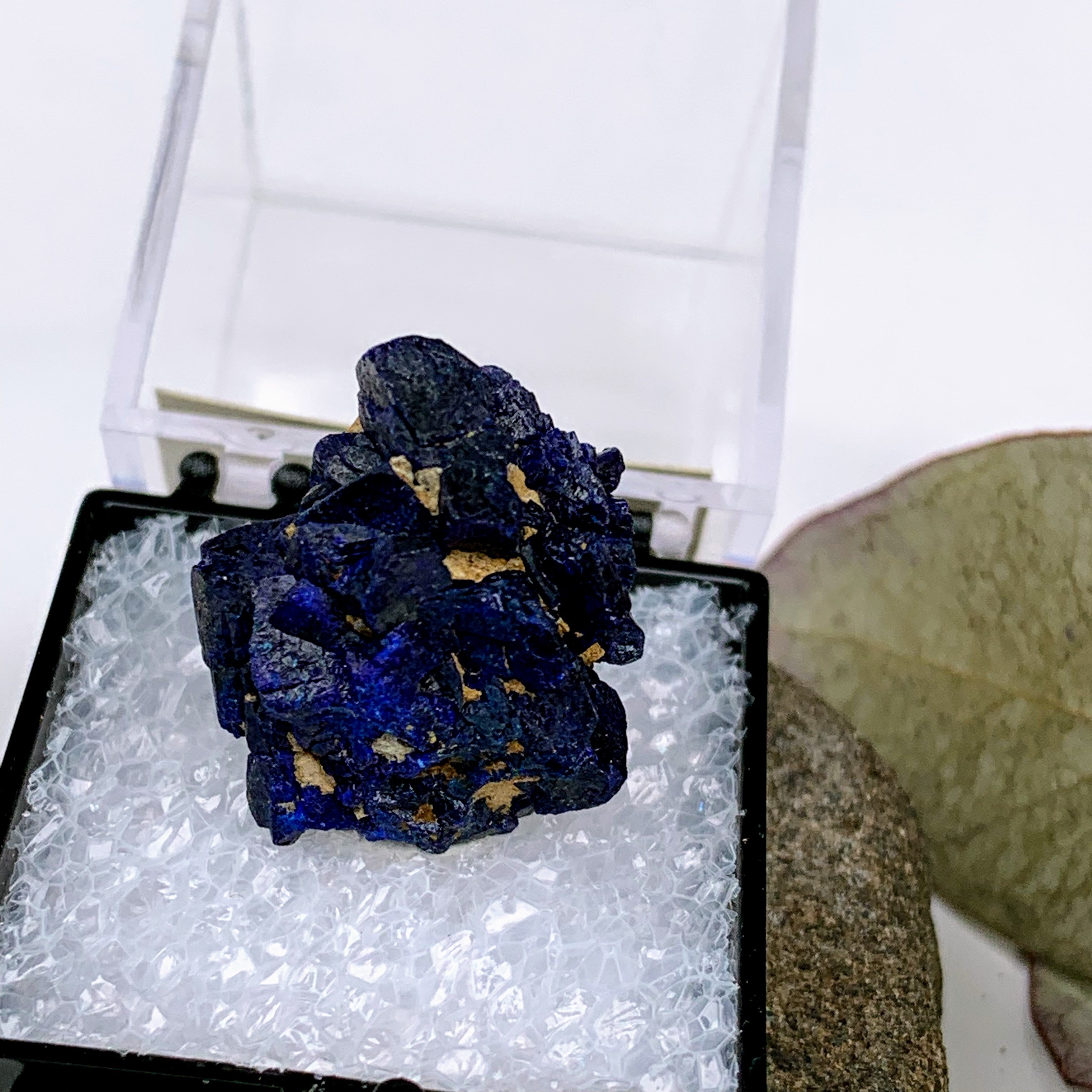 Deep Blue Raw Azurite Cluster from Morenci MIne, Arizona in Collectors Box - Earth Family Crystals