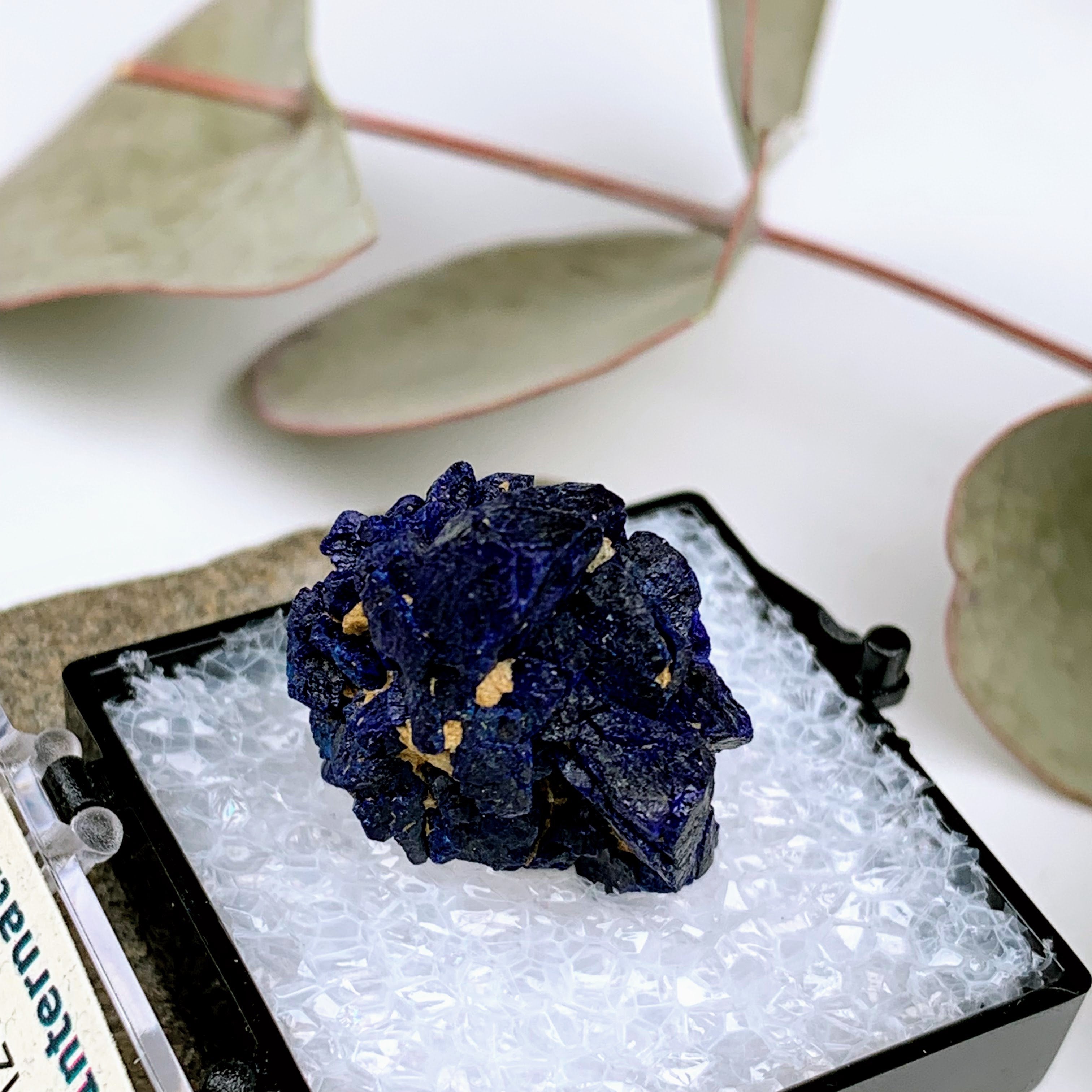 Deep Blue Raw Azurite Cluster from Morenci MIne, Arizona in Collectors Box - Earth Family Crystals