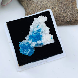 Electric Blue Natural Cavansite Crystals Nestled in Stilbite Matrix From India in Collectors Box - Earth Family Crystals