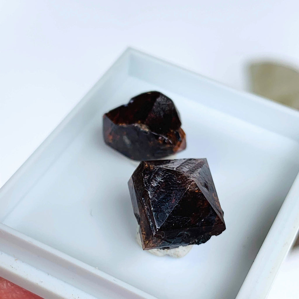 Two Raw & Unpolished Zircon Specimens From Seiland, Norway In Collectors Box - Earth Family Crystals