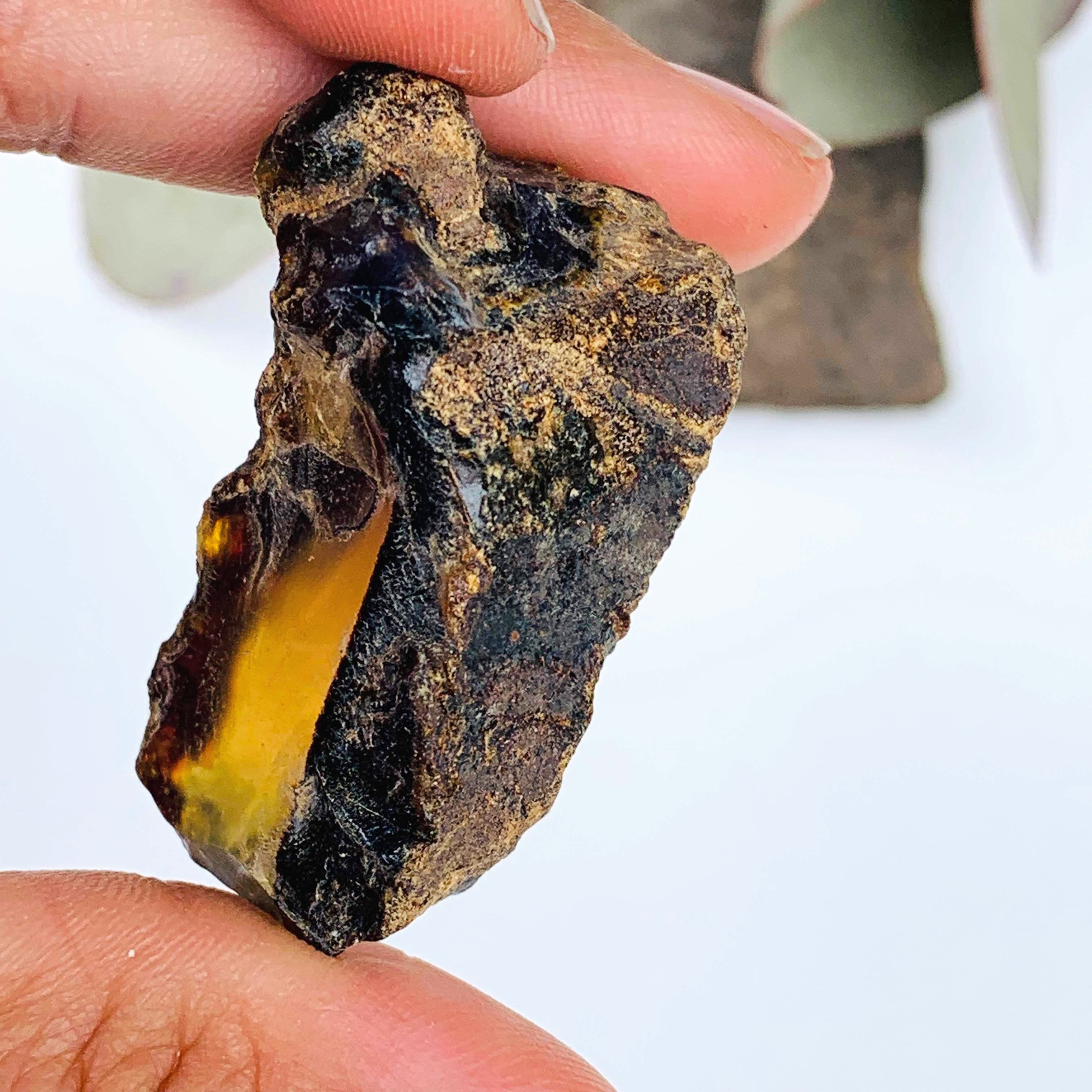 Sumatra Blue & Golden Raw Amber Chunk Specimen #8 - Earth Family Crystals