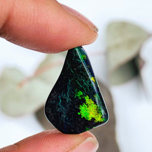 Australian Andamooka Opal Polished Specimen~Ideal for Crafting *REDUCED - Earth Family Crystals