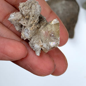 Pretty Rainbows Elmwood Mine Small Golden Stellar Beam Calcite Nestled in Matrix - Earth Family Crystals