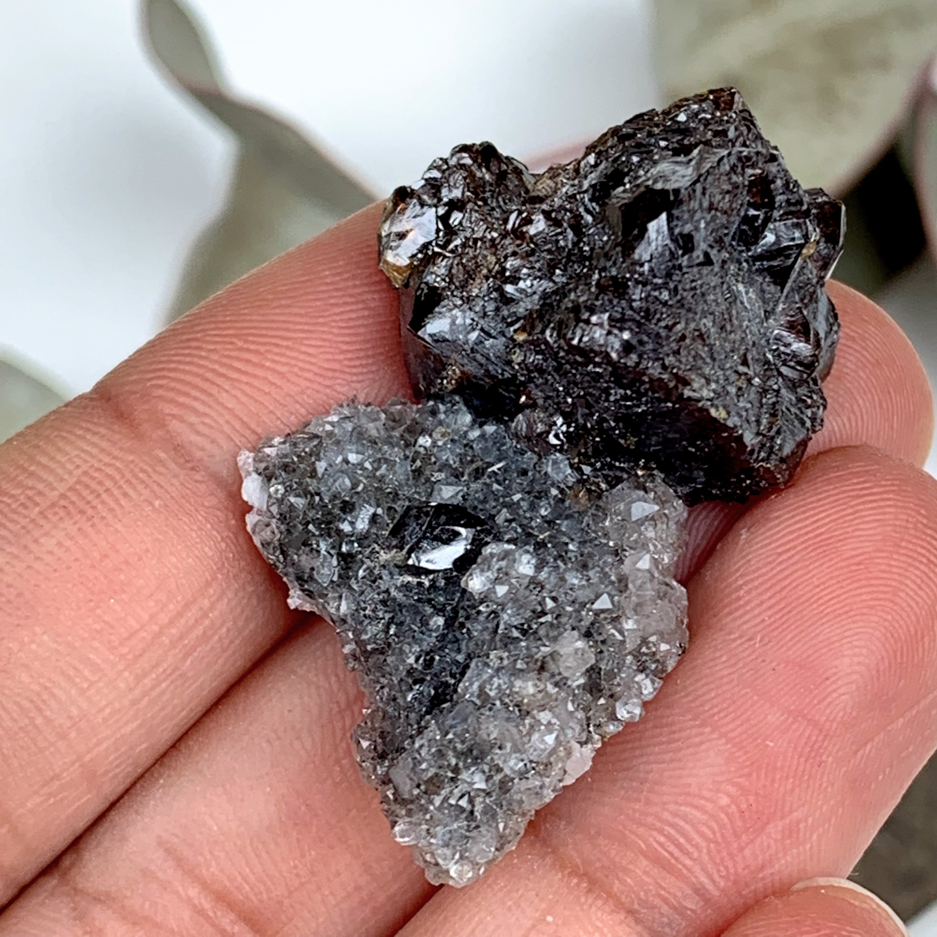 Elmwood Mine Deep Burgundy Sphalerite & Druzy Quartz Small Specimen - Earth Family Crystals